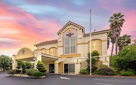 Comfort Inn Fairfield Napa Valley Area